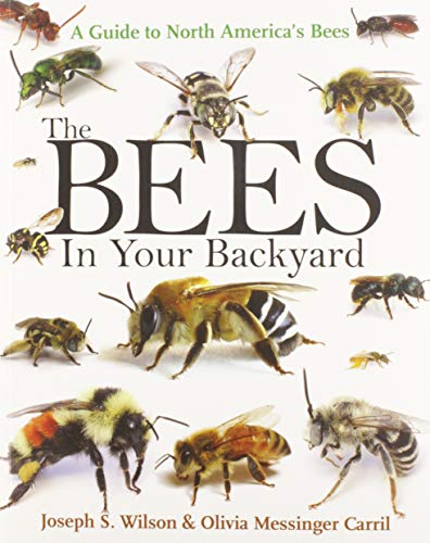 The Bees in Your Backyard: A Guide to North America's Bees